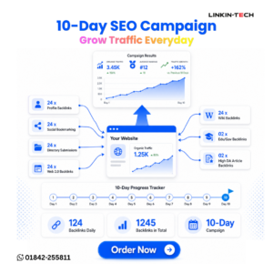 10-Day SEO Campaign