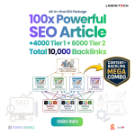 100 x SEO Article